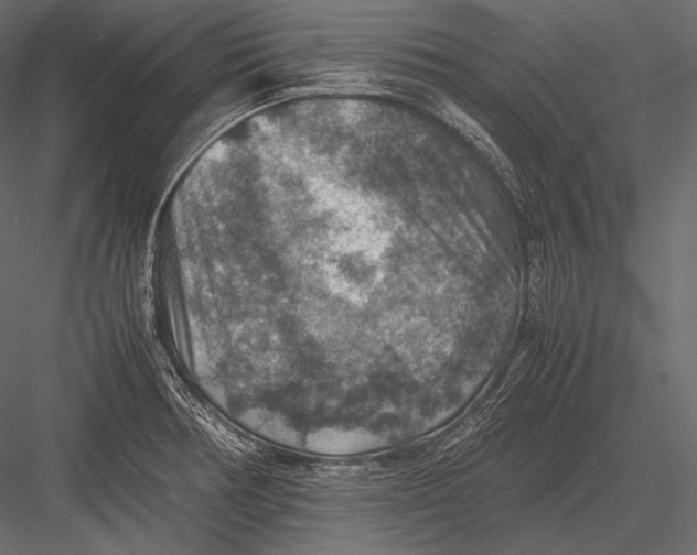 X0000082991378200702230048