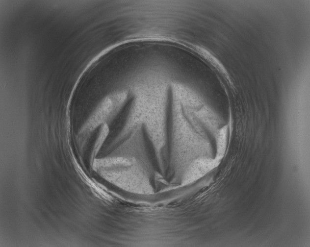 X0000082991380200702230048