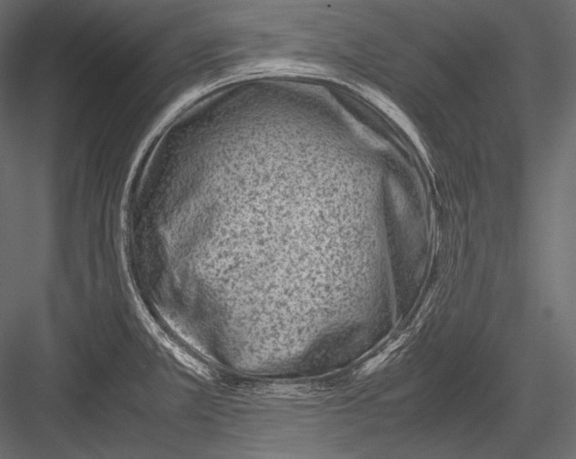 X0000082991381200702230048