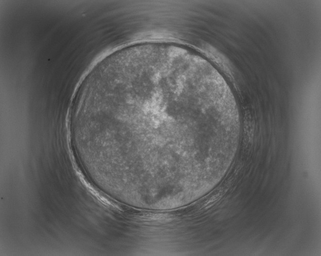 X0000082991382200702230048