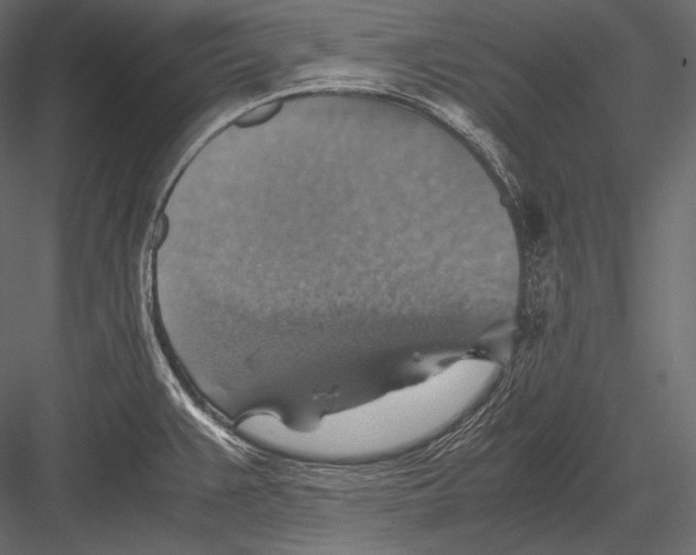 X0000082991383200702230048