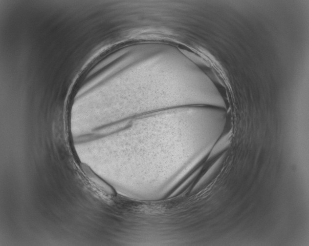 X0000082991384200702230048