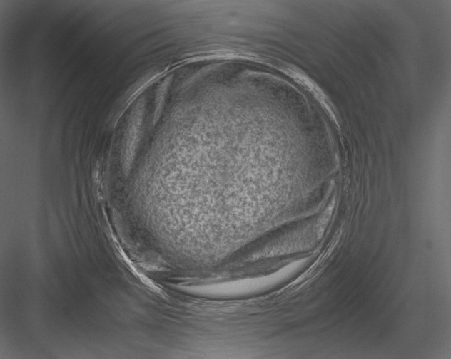 X0000082991385200702230048