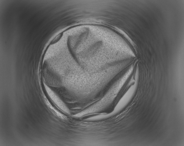 X0000082991387200702230048