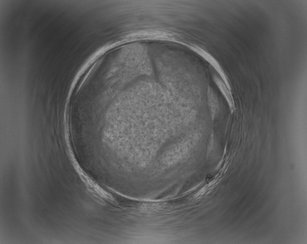 X0000082991389200702230048