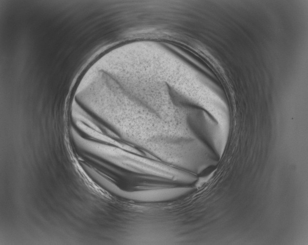 X0000082991392200702230048