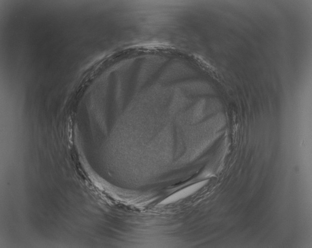 X0000082991398200702230047