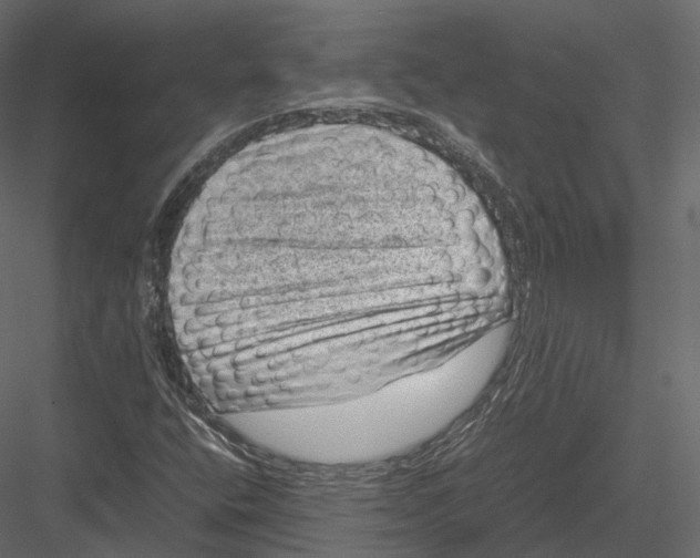 X0000082991400200702230048