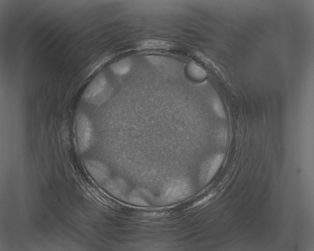 X0000082991401200702230048