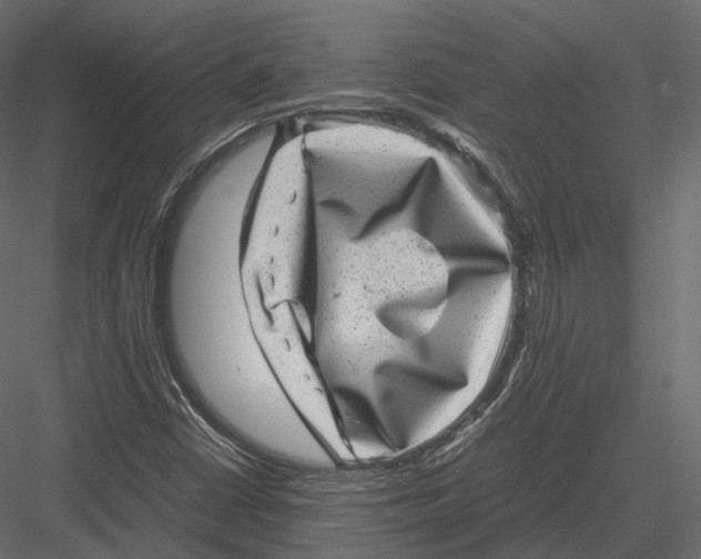 X0000082991402200702230048