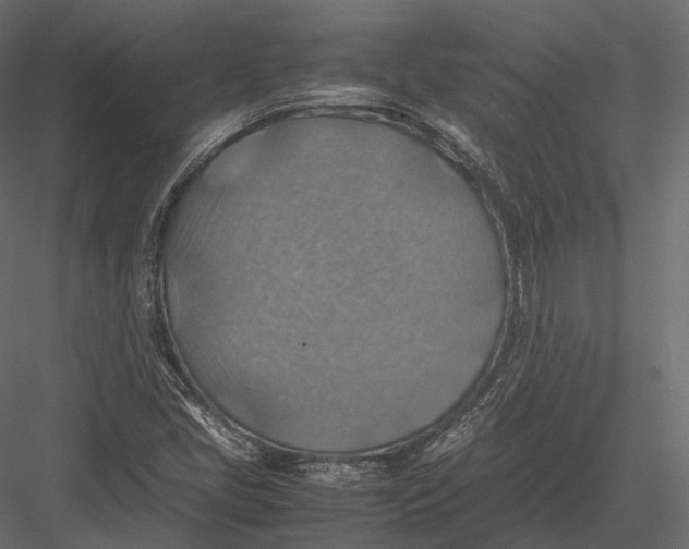 X0000082991405200702230048