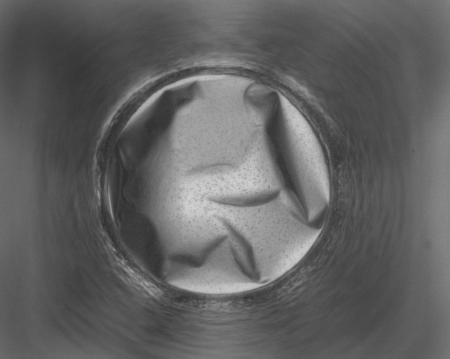 X0000082991408200702230048