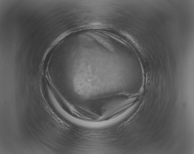 X0000082991410200702230048