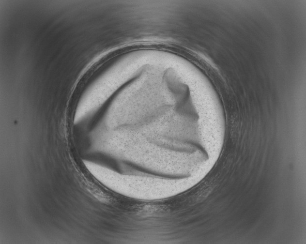 X0000082991412200702230048