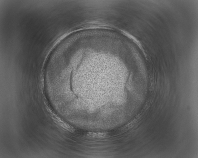 X0000082991415200702230048