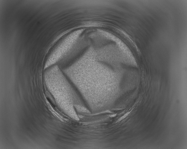 X0000082991417200702230048