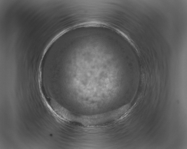 X0000082991418200702230048