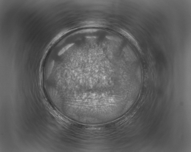 X0000082991419200702230048