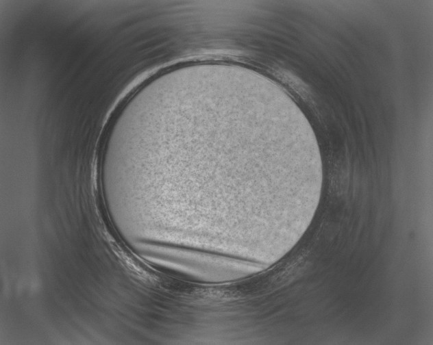 X0000082991420200702230048