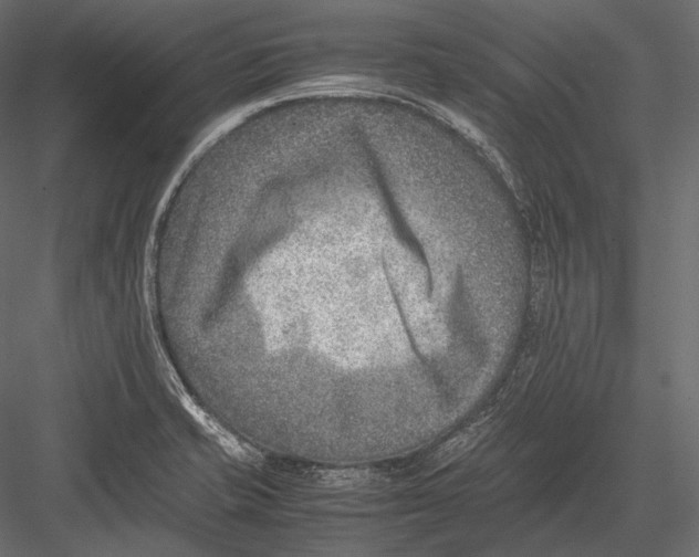 X0000082991421200702230048