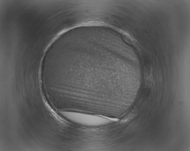 X0000082991422200702230048