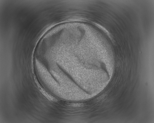 X0000082991423200702230048