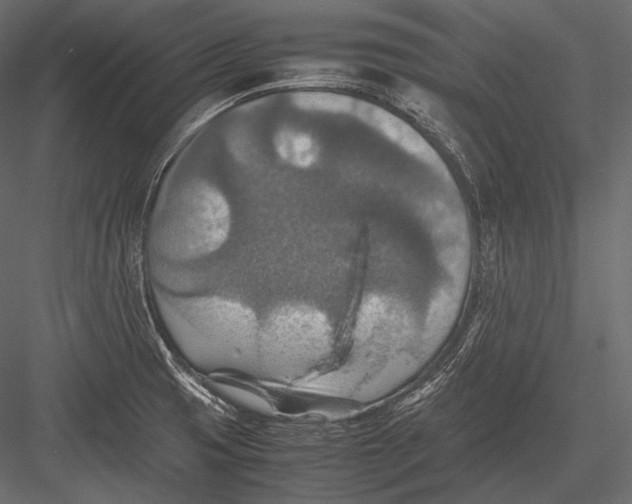 X0000082991425200702230048