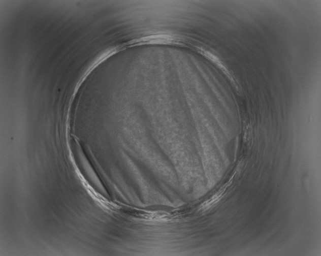 X0000082991426200702230048