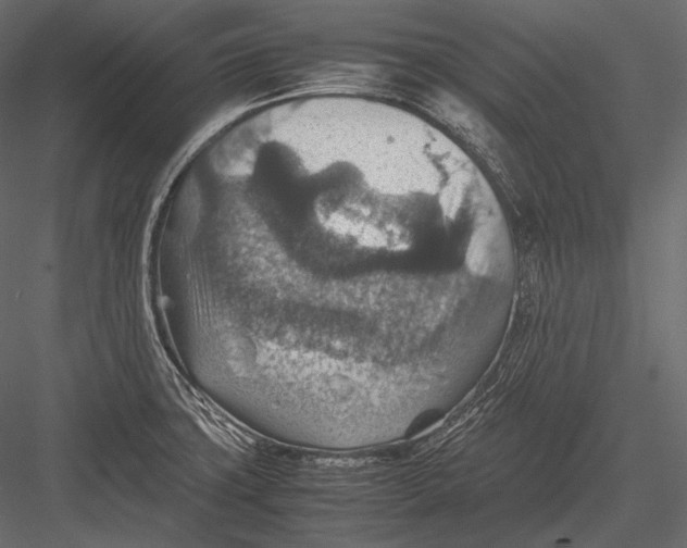 X0000082991427200702230048