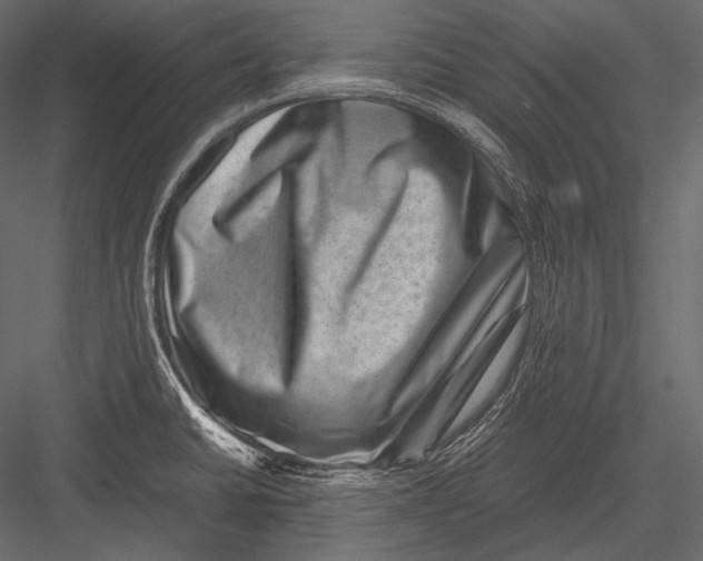 X0000082991430200702230048