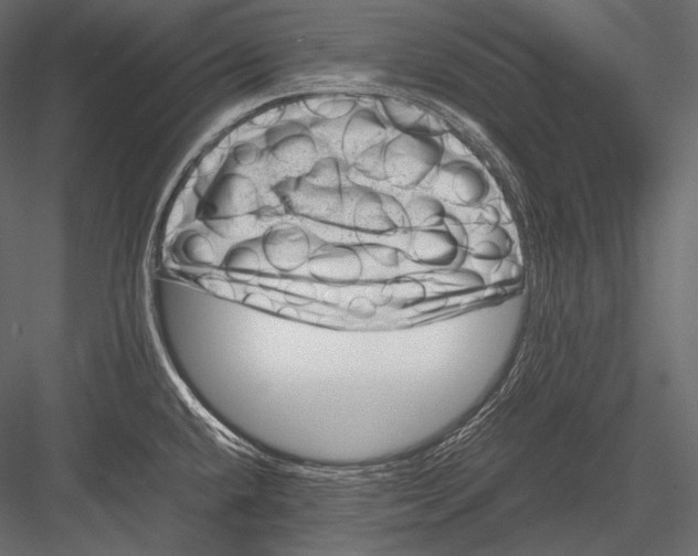 X0000082991432200702230048