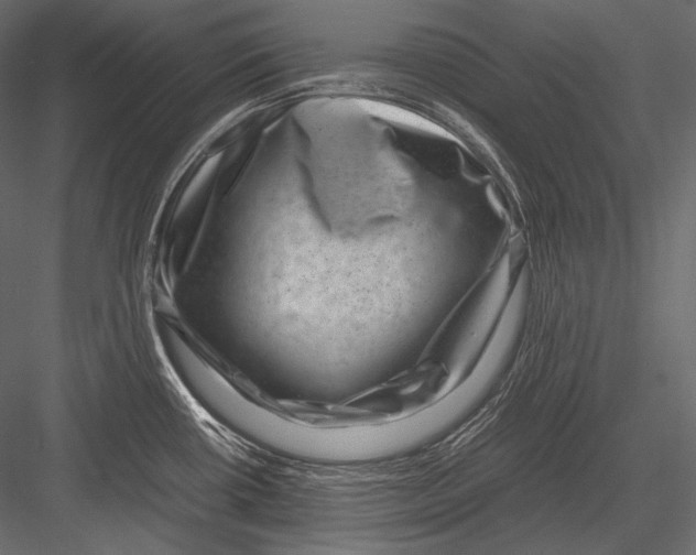 X0000082991434200702230048