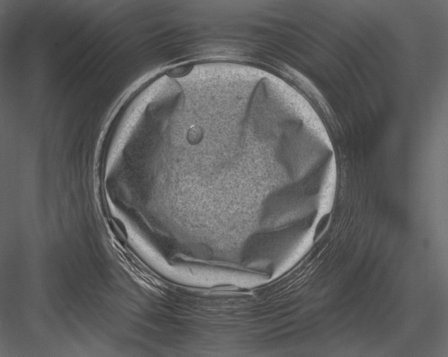 X0000082991435200702230048