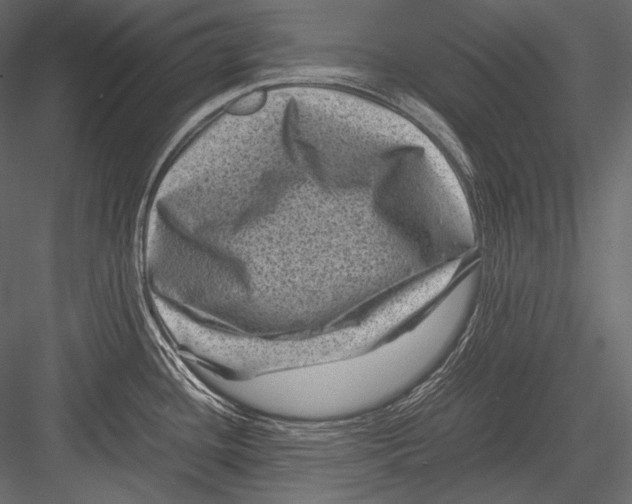 X0000082991436200702230048