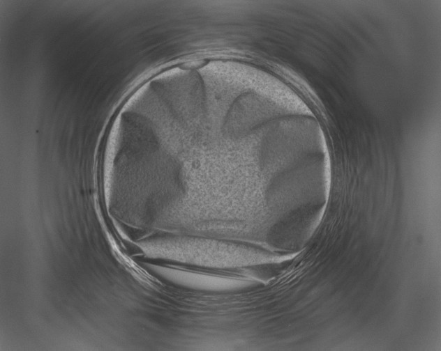 X0000082991439200702230048