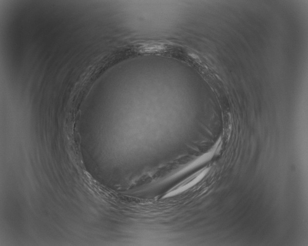 X0000082991441200702230047