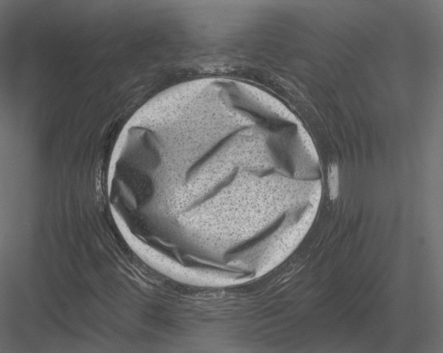 X0000082991444200702230047