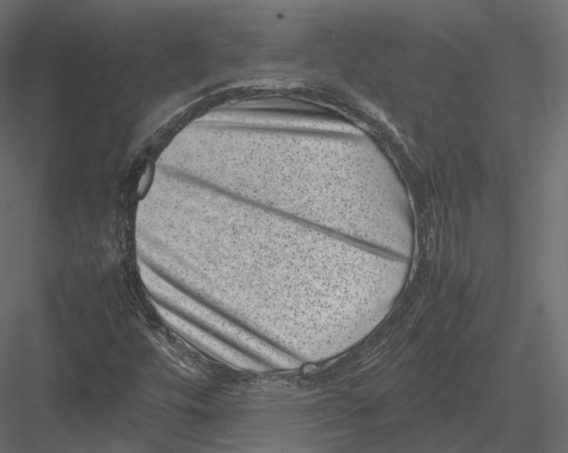 X0000082991448200702230047