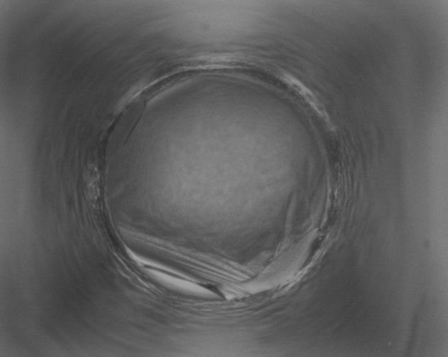 X0000082991449200702230047