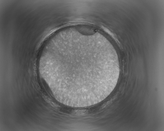 X0000082991453200702230047