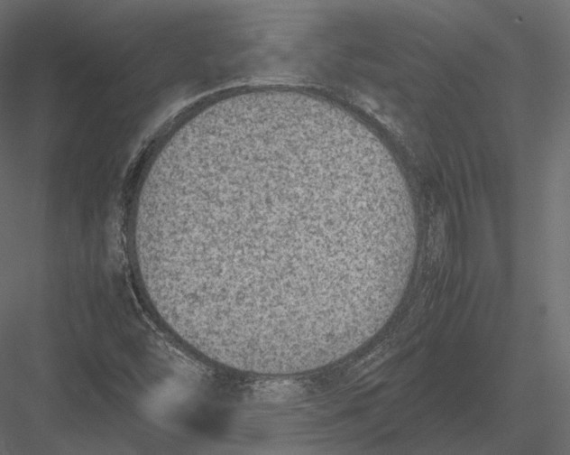 X0000082991454200702230047