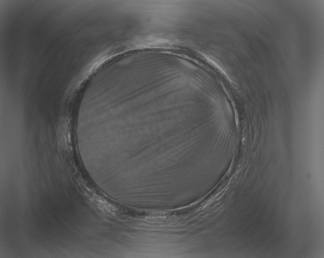 X0000082991455200702230047