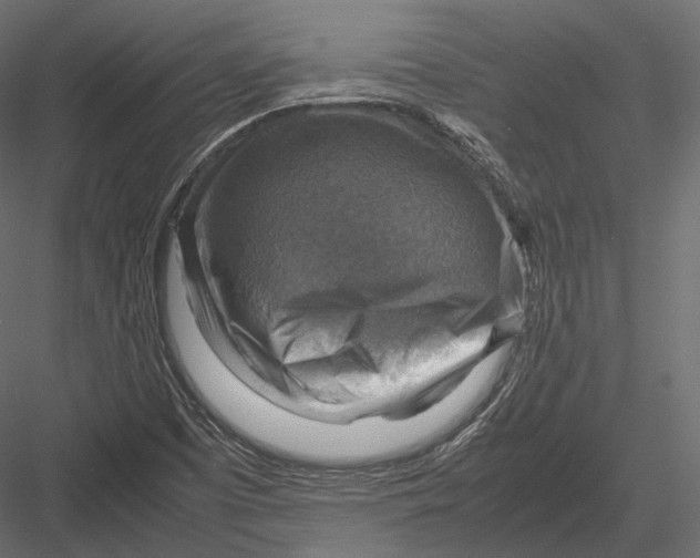 X0000082991457200702230047