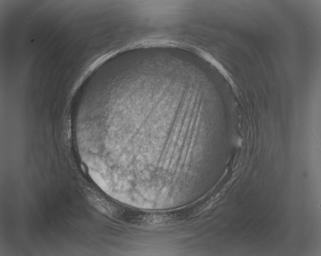 X0000082991461200702230047