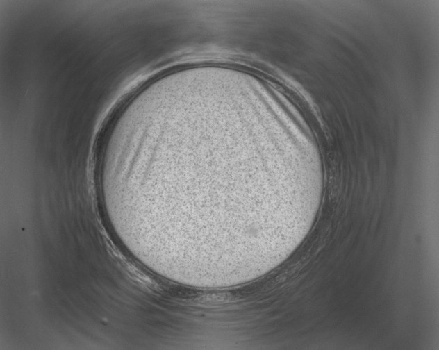 X0000082991464200702230047