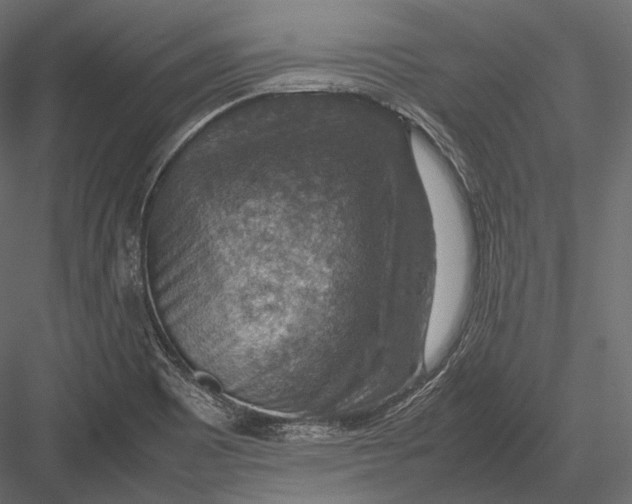 X0000082991465200702230047