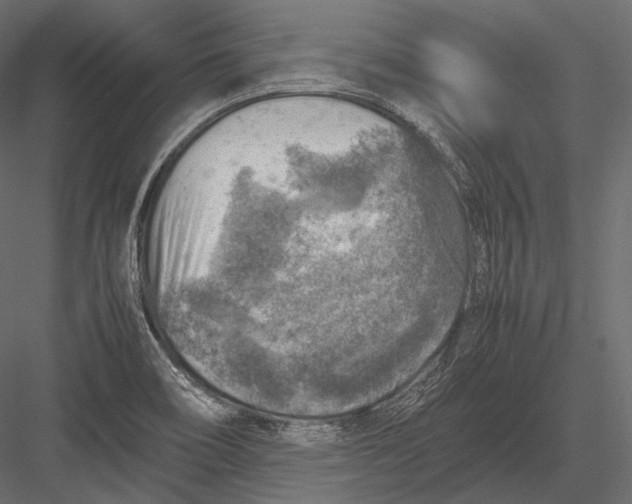 X0000082991466200702230047