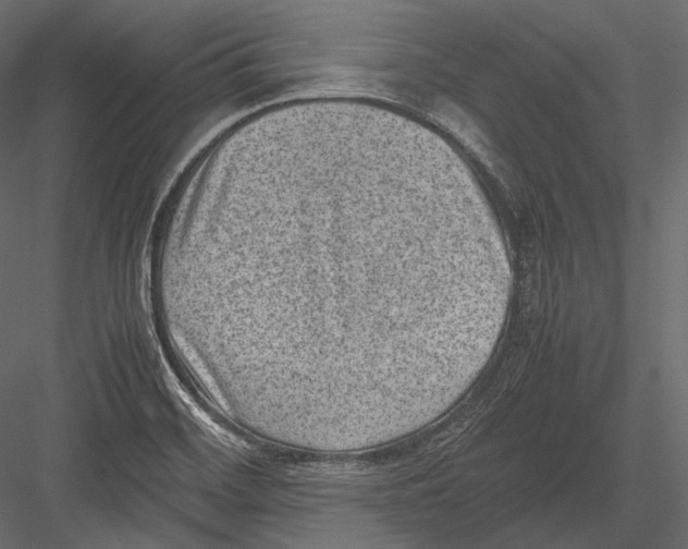 X0000082991468200702230047