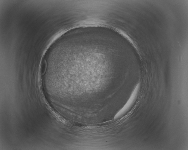 X0000082991469200702230047