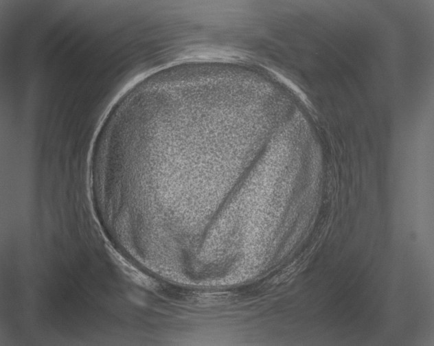 X0000082991471200702230047